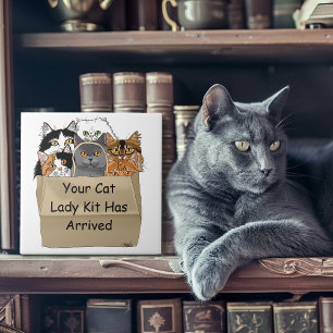 Azulejo De Cerâmica Kit Inicial de Gata Velha
