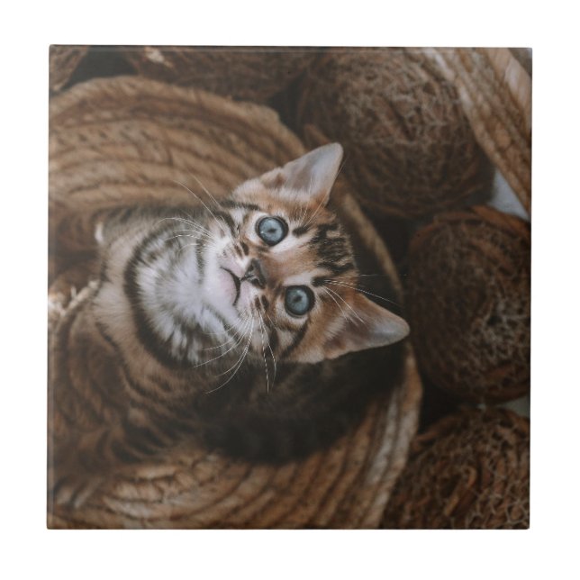 Azulejo De Cerâmica Kitten (Frente)