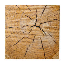 Azulejo De Cerâmica Knotty Wood Slice da Vida