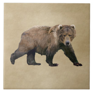 Azulejo De Cerâmica Kodiak Bear