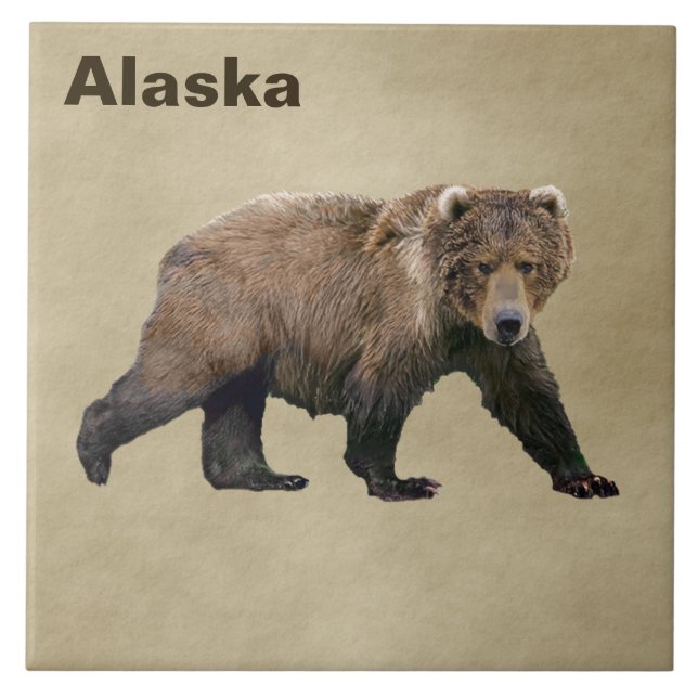 Azulejo De Cerâmica Kodiak Bear (Frente)