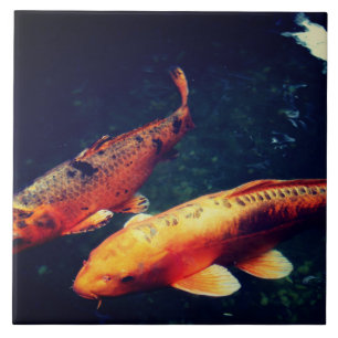 Azulejo De Cerâmica Koi