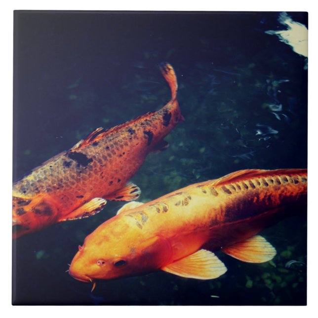 Azulejo De Cerâmica Koi (Frente)