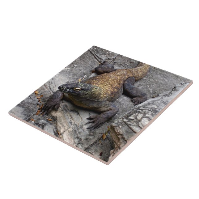 Azulejo De Cerâmica Komodo Dragon on Warm Rocks (Lateral)