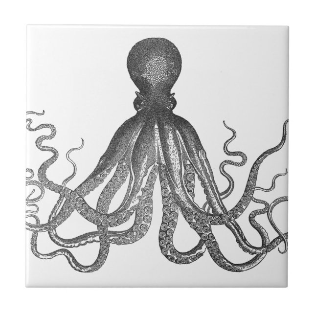 Azulejo De Cerâmica Kraken - Octopus Gigante Negro / Cthulu (Frente)