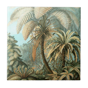 Azulejo De Cerâmica Kunstformen der Nature, Filicinae - Ernst Haeckel