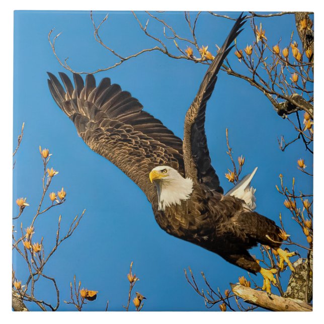 Azulejo De Cerâmica Lá Em Cima E Em Cima (Frente)