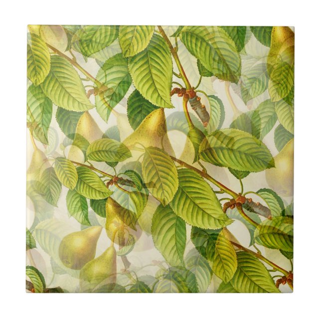 Azulejo De Cerâmica La Pera Pear (Frente)