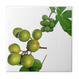 Azulejo De Cerâmica La quenette