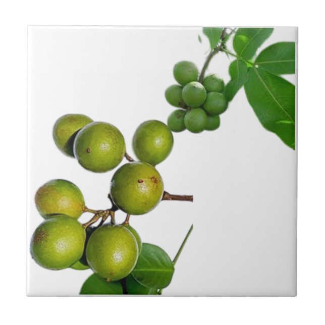 Azulejo De Cerâmica La quenette  (Frente)