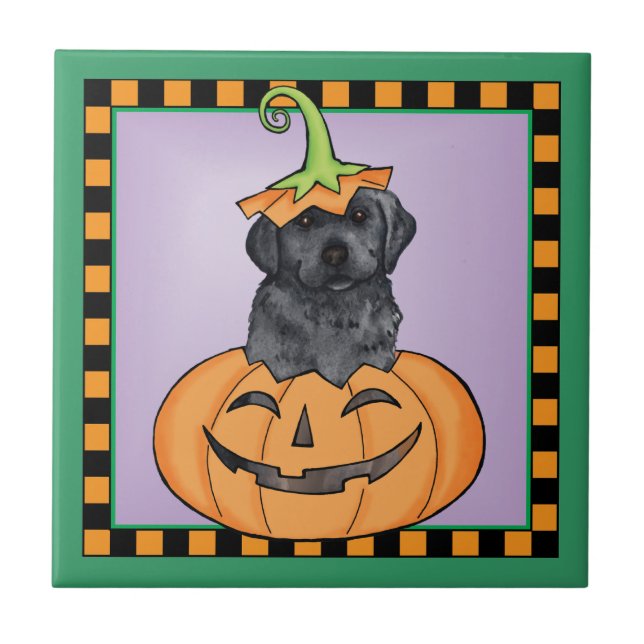 Azulejo De Cerâmica Laboratório Preto Halloween (Frente)