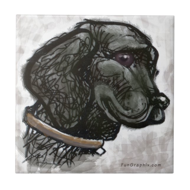 Azulejo De Cerâmica Labrador Retriever (Frente)