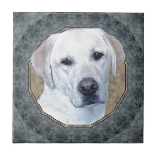 Azulejo De Cerâmica Labrador retriever clássico