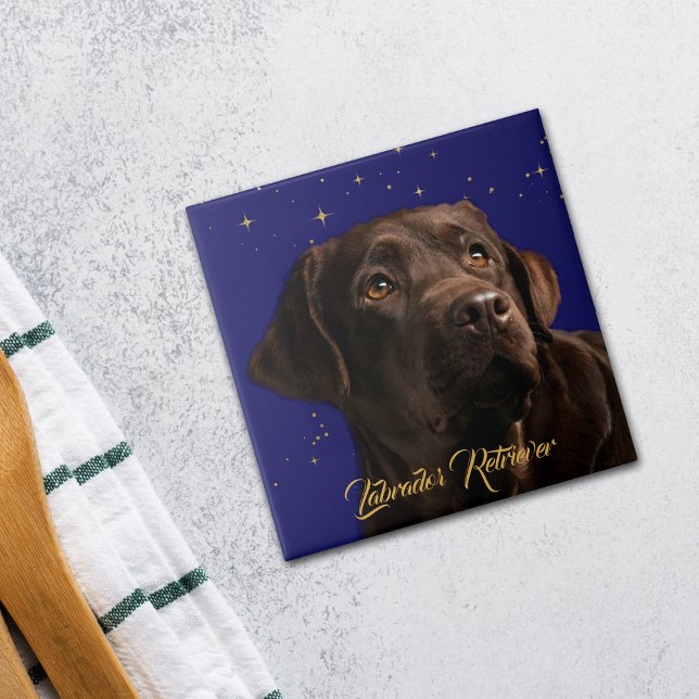 Azulejo De Cerâmica Labrador Retriever Retrato Starry Sky Fundo (Criador carregado)