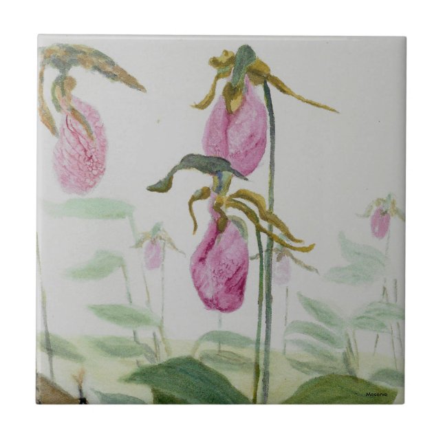 Azulejo De Cerâmica Lady Slippers (Frente)