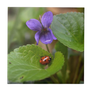 Azulejo De Cerâmica Ladybug em Flores de Violeta Doce