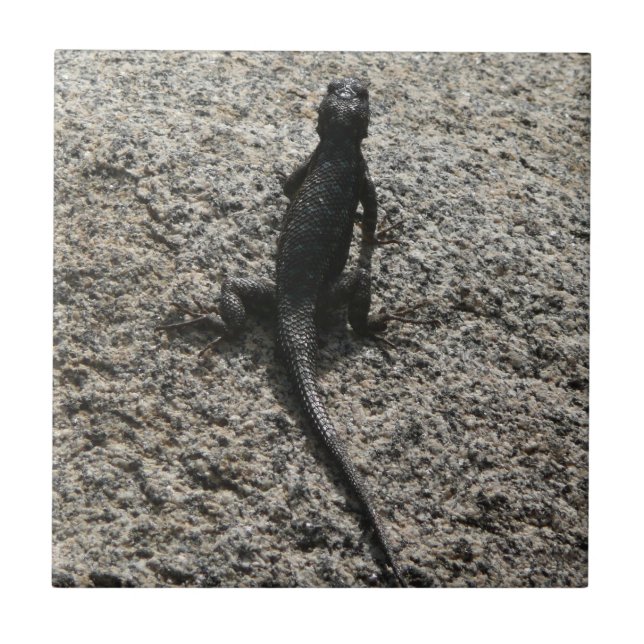 Azulejo De Cerâmica Lagarto Preto (Frente)