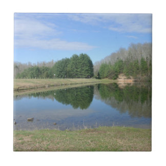 Azulejo De Cerâmica Lago azul