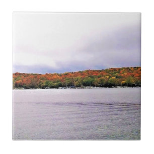 Azulejo De Cerâmica Lago Genebra, Wisconsin