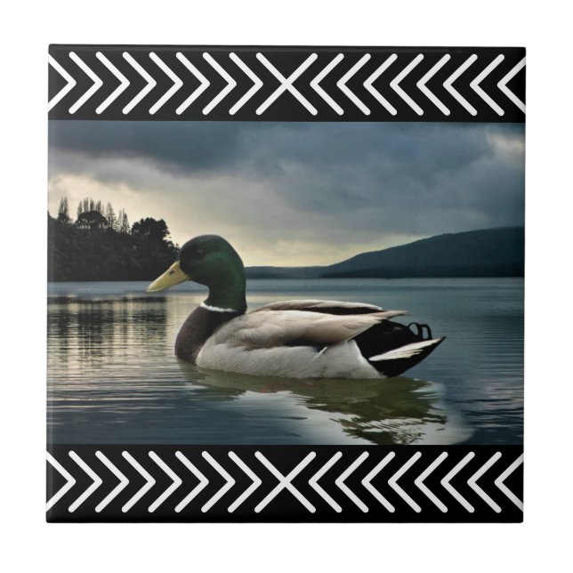 Azulejo De Cerâmica Lago Mallard Duck (Frente)