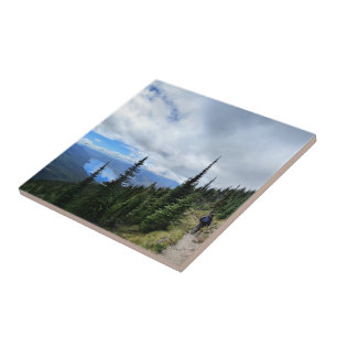 Azulejo De Cerâmica Lago McDonald do Monte Brown - Parque Nacional Gla