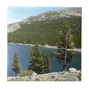 Azulejo De Cerâmica Lago Tenaya no Parque Nacional de Yosemite