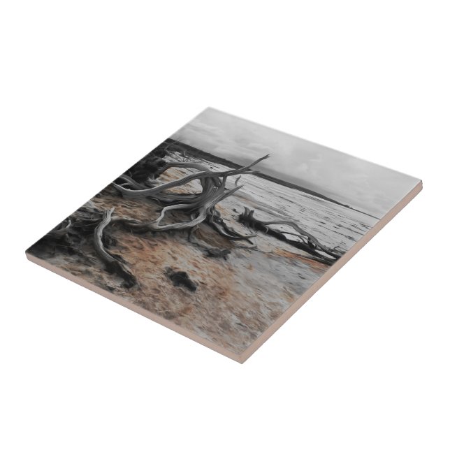 Azulejo De Cerâmica Lago Tyrrell Natural Forces (Lateral)