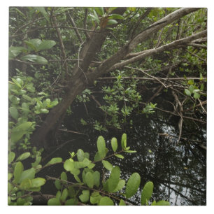 Azulejo De Cerâmica Lagoa tropical de sal