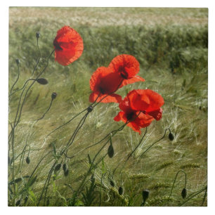 Azulejo De Cerâmica Lajota com Klatschmohn 02