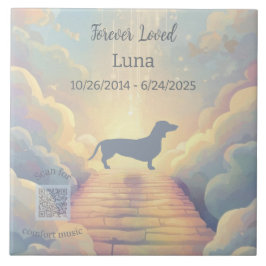 Azulejo De Cerâmica Lajota de Memorial Dachshund Rainbow Bridge com Mú