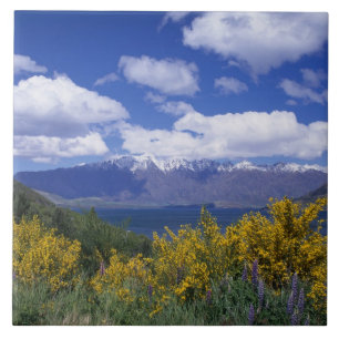Azulejo De Cerâmica Lake Wakatipu e os produtos de primeira necessidad