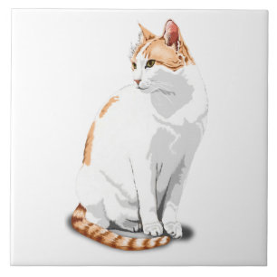 Azulejo De Cerâmica Laranja Gengibre e Gato Branco Personalizado