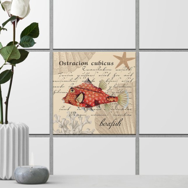 Azulejo De Cerâmica Laranja 🐡 Vintage Náutica (Orange Boxfish Illustration 🐡 Nautical Vintage Ceramic Tile
)