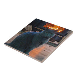 Azulejo De Cerâmica Lareira de Gatinho de Shorthair