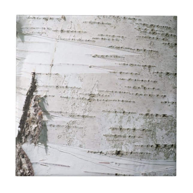 Azulejo De Cerâmica Latido (Frente)