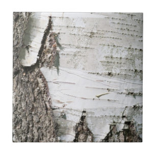 Azulejo De Cerâmica Latido