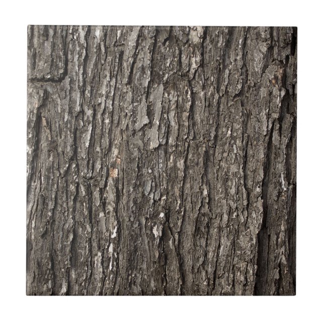 Azulejo De Cerâmica Latido de árvore grosso (Frente)