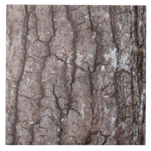 Azulejo De Cerâmica Latido de Sourwood