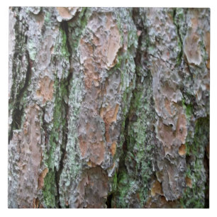 Azulejo De Cerâmica Latido do pino