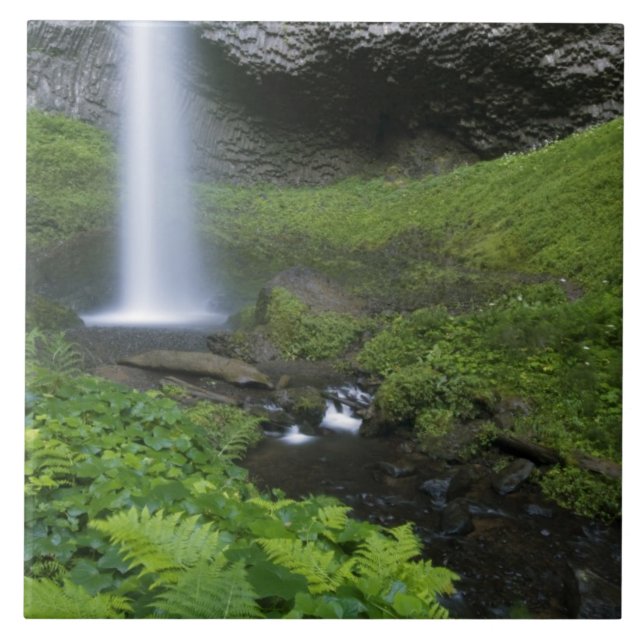 Azulejo De Cerâmica Latourell Falls, Columbia River Gorge, Oregon (Frente)
