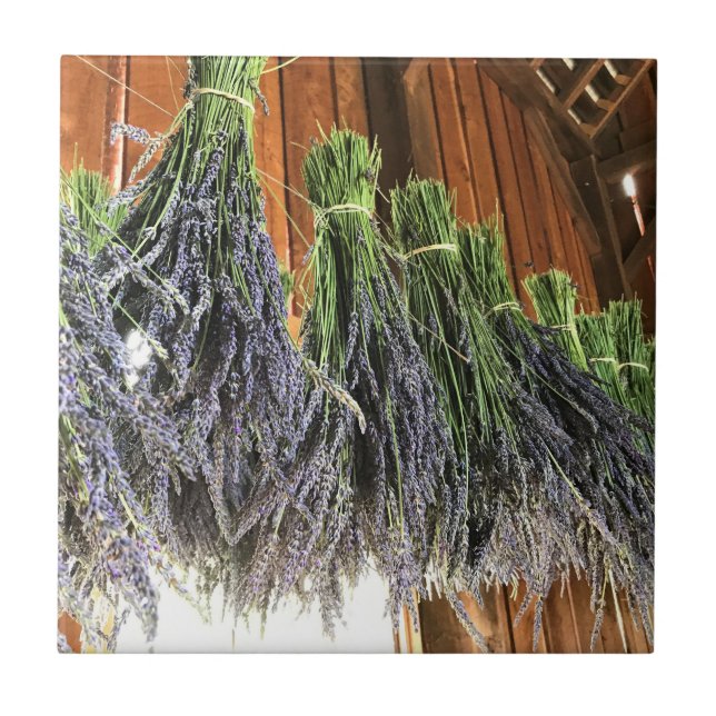 Azulejo De Cerâmica Lavanda pendurada em um celeiro (Frente)
