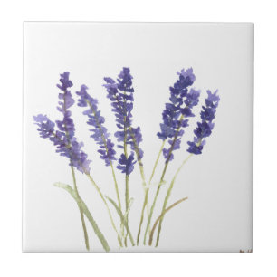 Azulejo De Cerâmica Lavandas de flores, lavanda francesa
