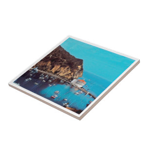 Azulejo De Cerâmica ldp PAPAIS NOEIS CATALINA ISLAND - porto -