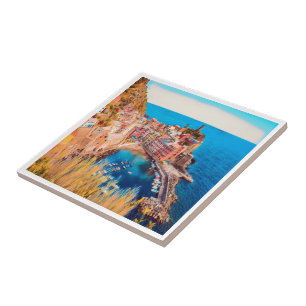Azulejo De Cerâmica ldp VERNAZZA - Cinque Terre -