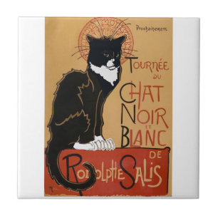 Azulejo De Cerâmica Le Chat Noir et Blanc