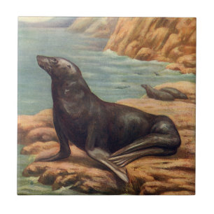 Azulejo De Cerâmica Leão-Marinho à Beira-Mar, Mamíferos Marinhos Vinta
