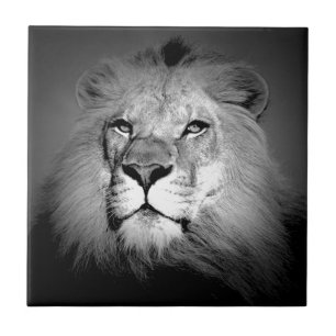 Azulejo De Cerâmica Leão preto & branco