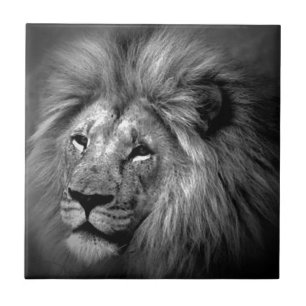 Azulejo De Cerâmica Leão preto & branco