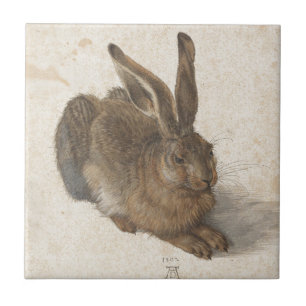 Azulejo De Cerâmica Lebre por Albrecht Durer