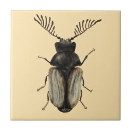 Azulejo De Cerâmica Legal arte de entomologia do amante de insetos